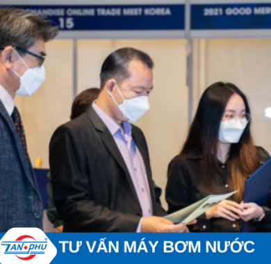 Dịch Vụ Tư Vấn Dịch Vụ Tư Vấn