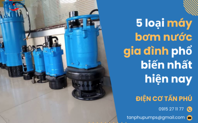 Top 5 máy bơm nước gia đình tốt nhất: Hướng dẫn chọn mua chi tiết Top 5 máy bơm nước gia đình tốt nhất: Hướng dẫn chọn mua chi tiết