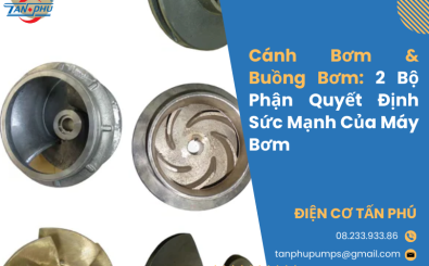 Cánh Bơm & Buồng Bơm: 2 Bộ Phận Quyết Định Sức Mạnh Của Máy Bơm Cánh Bơm & Buồng Bơm: 2 Bộ Phận Quyết Định Sức Mạnh Của Máy Bơm