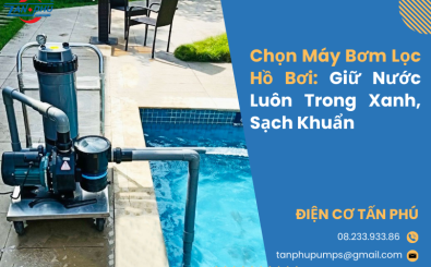 Chọn Máy Bơm Lọc Hồ Bơi: Giữ Nước Luôn Trong Xanh, Sạch Khuẩn Chọn Máy Bơm Lọc Hồ Bơi: Giữ Nước Luôn Trong Xanh, Sạch Khuẩn