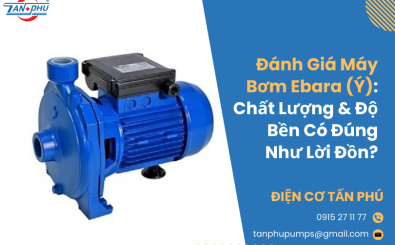 Đánh Giá Máy Bơm Nước Ebara Italy: Chất Lượng & Độ Bền Có Đúng Như Lời Đồn? Đánh Giá Máy Bơm Nước Ebara Italy: Chất Lượng & Độ Bền Có Đúng Như Lời Đồn?