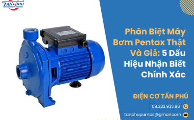 Phân Biệt Máy Bơm Pentax Thật Và Giả: 5 Dấu Hiệu Nhận Biết Chính Xác  Phân Biệt Máy Bơm Pentax Thật Và Giả: 5 Dấu Hiệu Nhận Biết Chính Xác