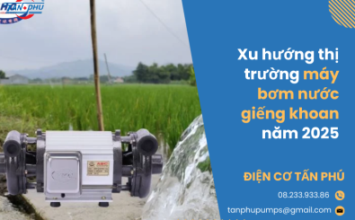 Xu hướng thị trường máy bơm nước giếng khoan năm 2025 Xu hướng thị trường máy bơm nước giếng khoan năm 2025
