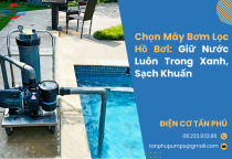 Chọn Máy Bơm Lọc Hồ Bơi: Giữ Nước Luôn Trong Xanh, Sạch Khuẩn
