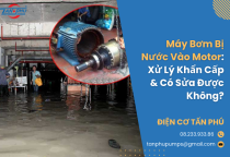 Máy Bơm Bị Nước Vào Motor: Xử Lý Khẩn Cấp & Có Sửa Được Không?