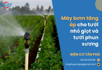 Máy bơm tăng áp cho tưới nhỏ giọt và tưới phun sương