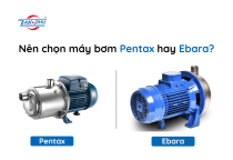 So Sánh Máy Bơm Pentax Và Ebara: Nên Chọn Hãng Nào Tốt Nhất?