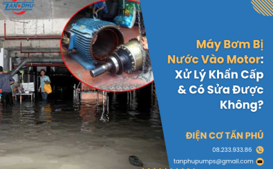 Máy Bơm Bị Nước Vào Motor: Xử Lý Khẩn Cấp & Có Sửa Được Không?