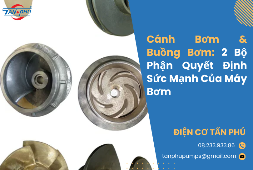 Cánh Bơm & Buồng Bơm: 2 Bộ Phận Quyết Định Sức Mạnh Của Máy Bơm