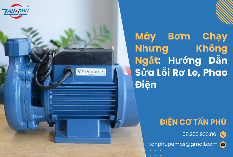 Máy Bơm Chạy Nhưng Không Ngắt: Hướng Dẫn Sửa Lỗi Rơ Le, Phao Điện