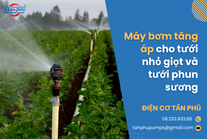 Máy bơm tăng áp cho tưới nhỏ giọt và tưới phun sương