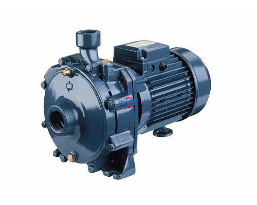 Máy bơm ly tâm 2 tầng cánh EBARA CDA 0.75T